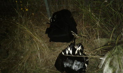 צפו: כך סיכלו הברחות סמים מלבנון לישראל