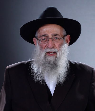 הרב קלמן שמולביץ זצ"ל