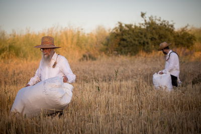 קציר חיטים למצה שמורה, אתמול