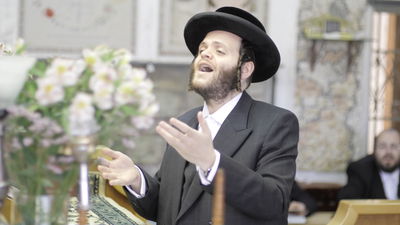 'פרקי אבות': המחזמר השנתי של זאנוויל ו'מלכות'