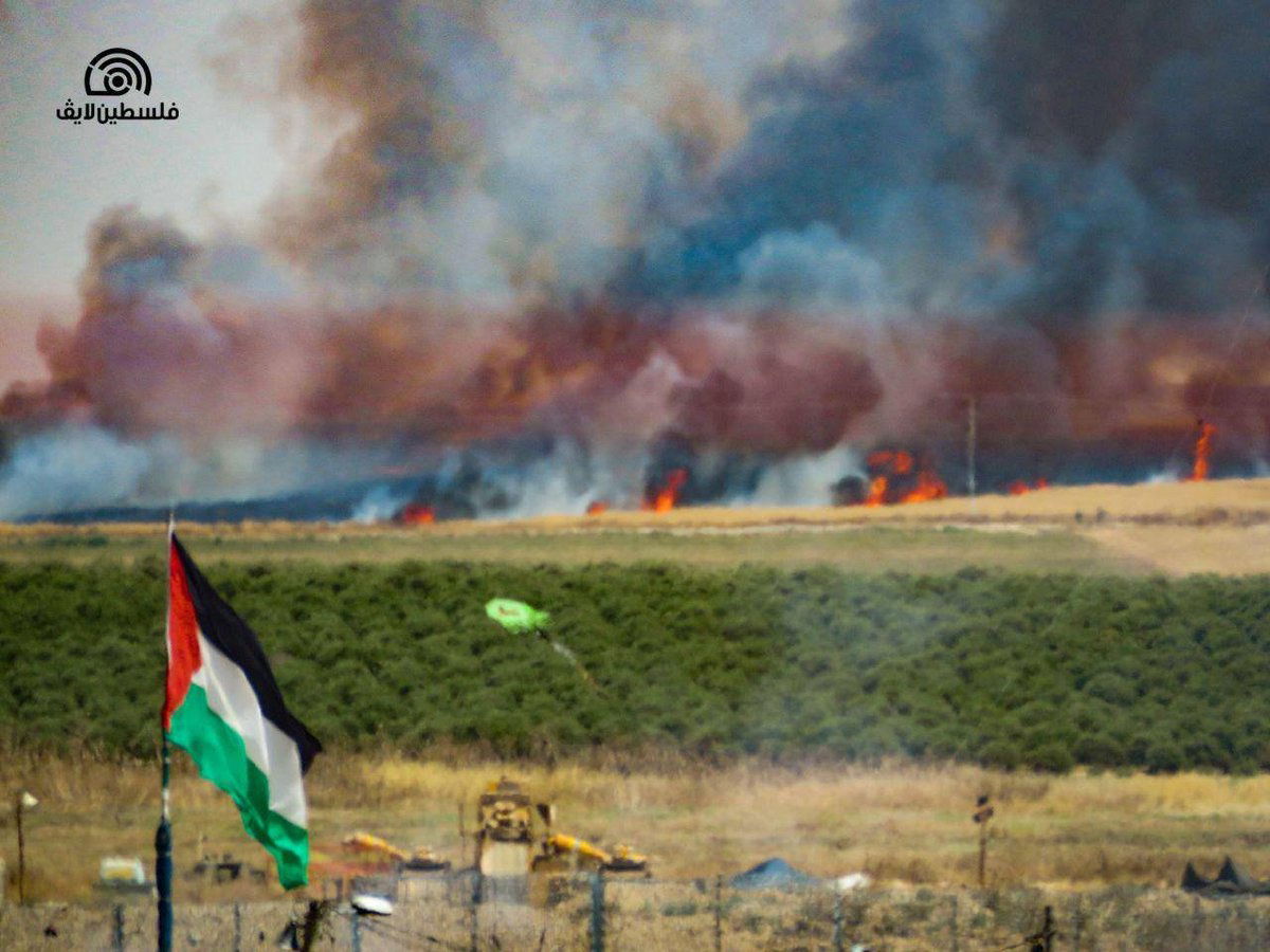 מתחמם: 10,000 פורעים בגבול עזה; אחד נהרג מירי צה"ל