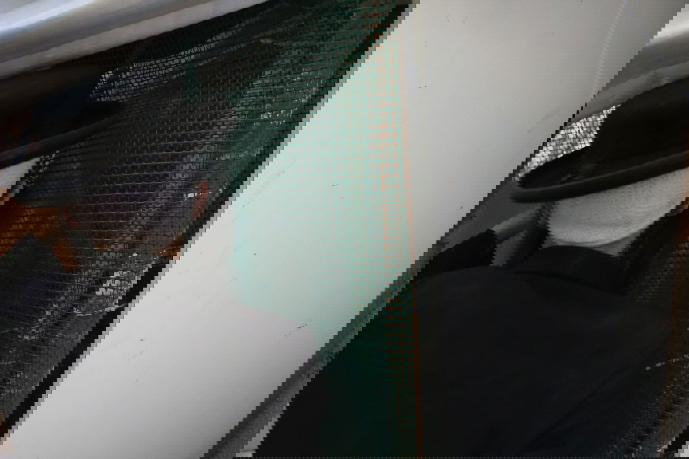 קיצוניים מגדלים תרנגולי בראקל במחסן. צפו