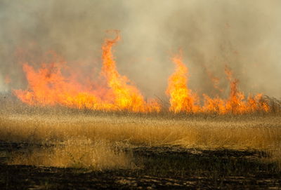 רגיעה בדרום? עוד יום של שריפות בעוטף עזה