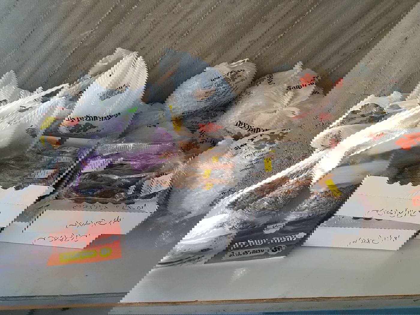 התרגשות בביתר: המונים בשלום זכר לבן משפחת גינזבורג