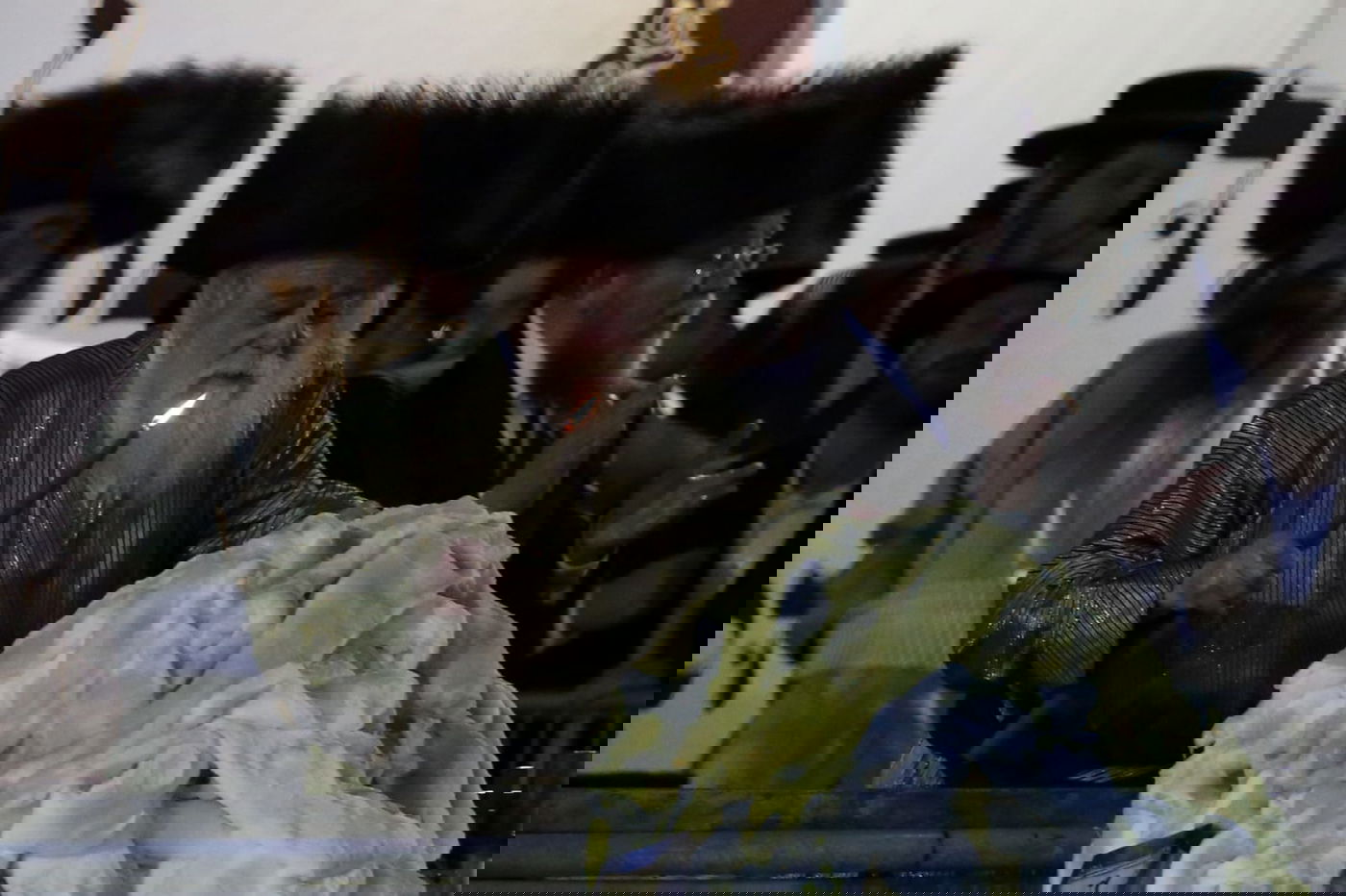 ההדלקה הנועלת את "אירועי מירון" • תיעוד