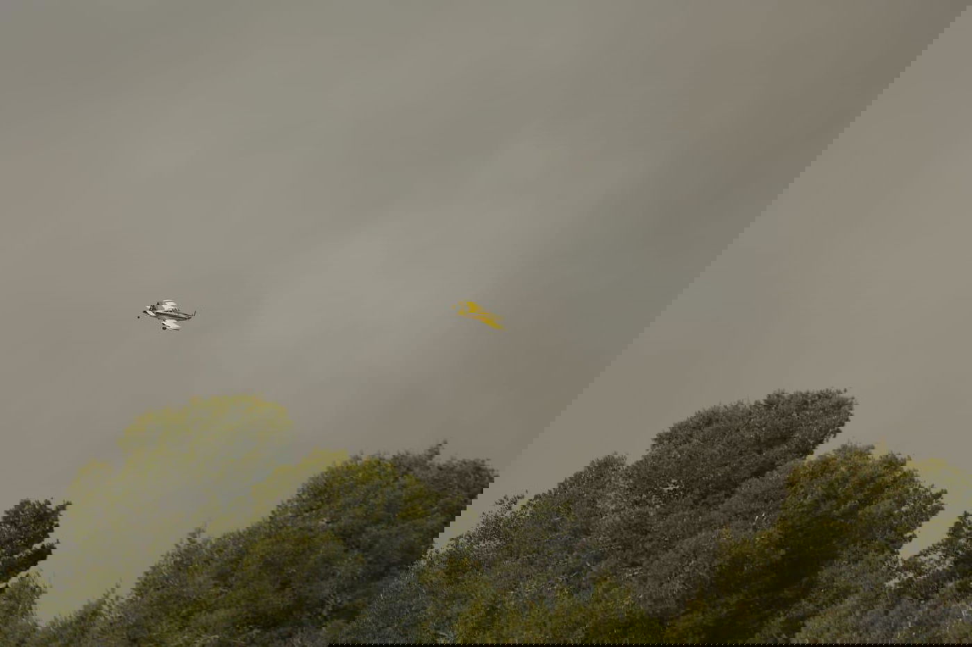 גל השריפות: ישראל מבקשת סיוע בינלאומי