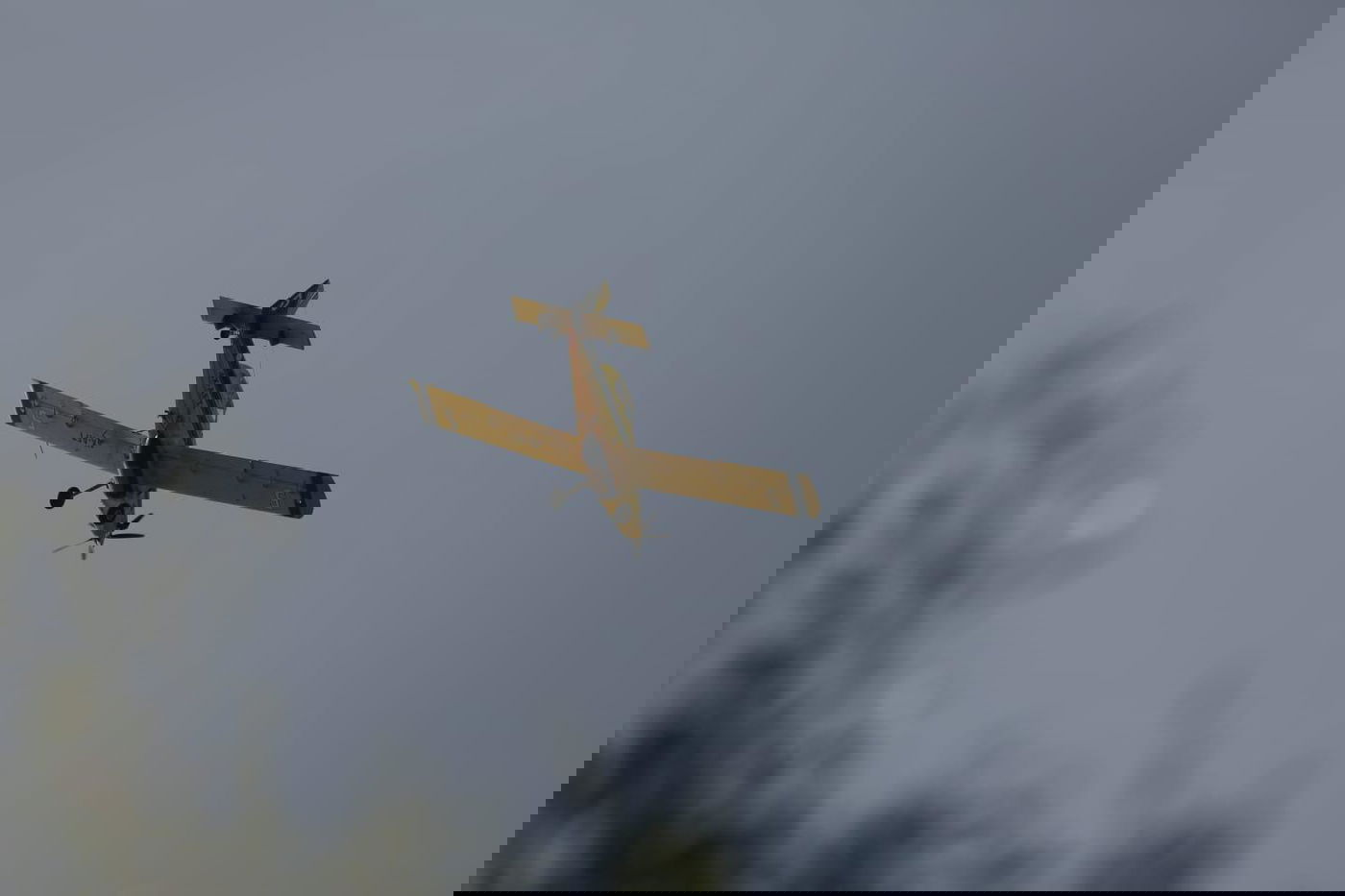 גל השריפות: ישראל מבקשת סיוע בינלאומי