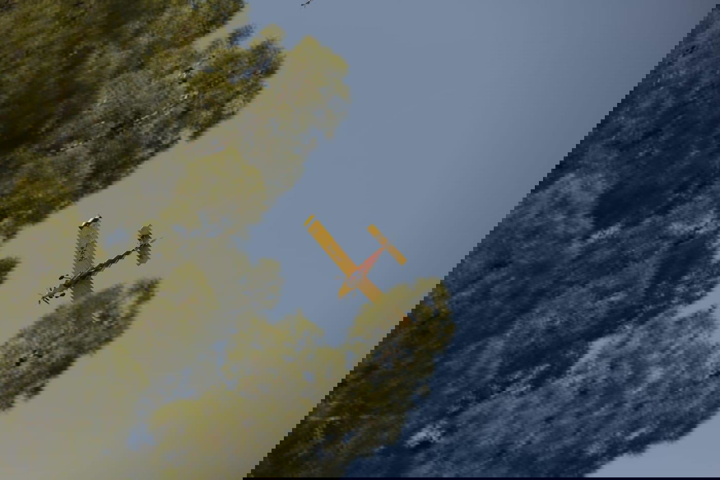 גל השריפות: ישראל מבקשת סיוע בינלאומי