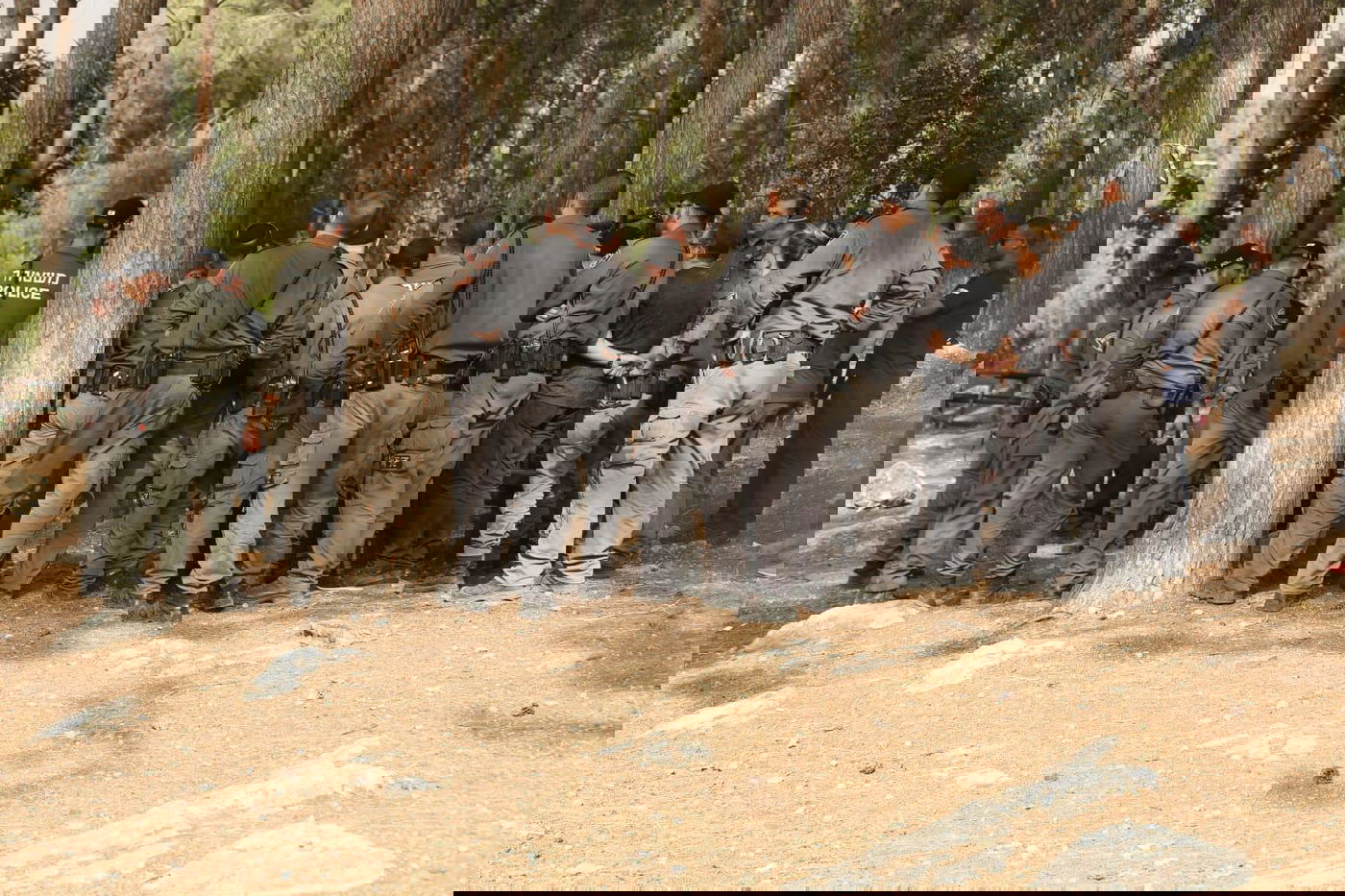 גל השריפות: ישראל מבקשת סיוע בינלאומי