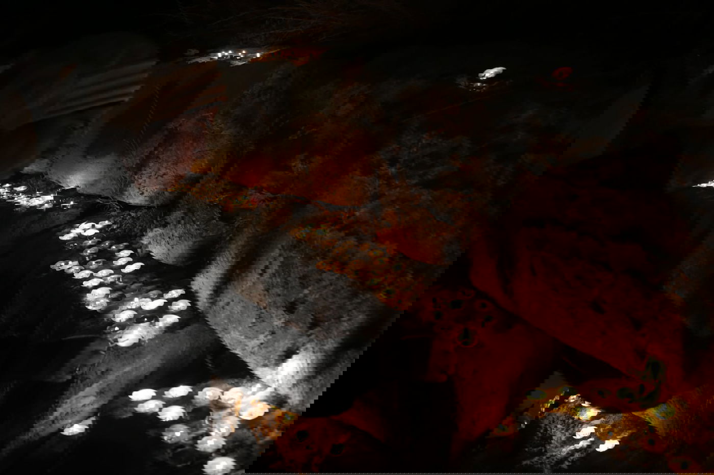 230 אלף איש, עשרות אלפי נרות | תיעוד