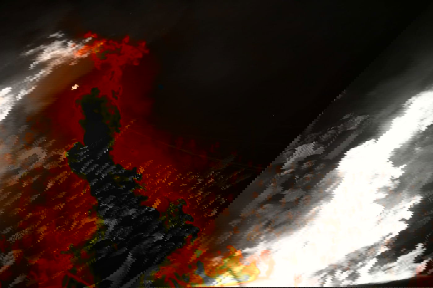 עם אלפי חסידיו; האדמו"ר מזוועהיל במירון