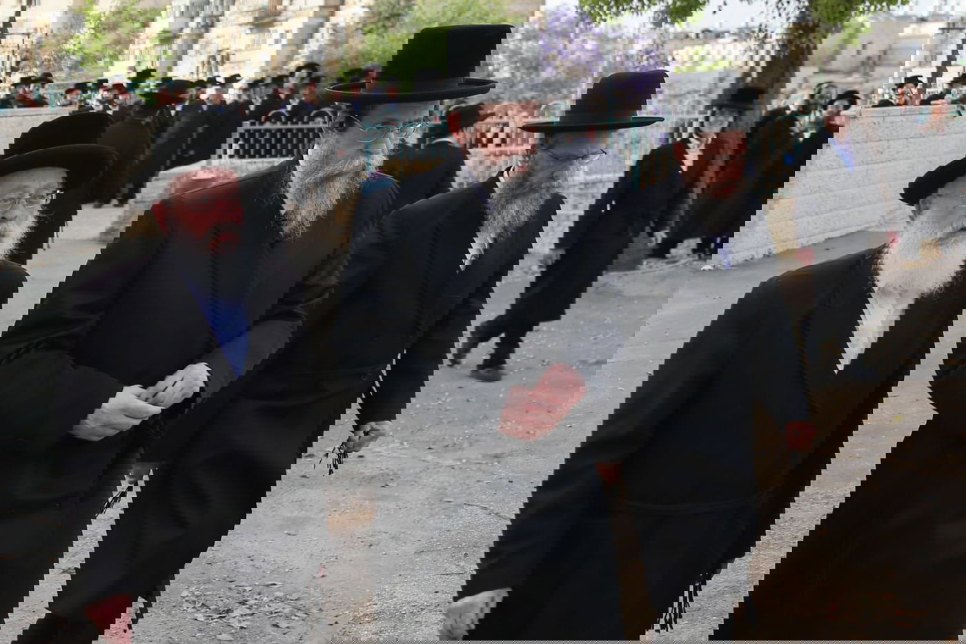 תיעוד: האדמו"רים מגיעים לכינוס המועצת