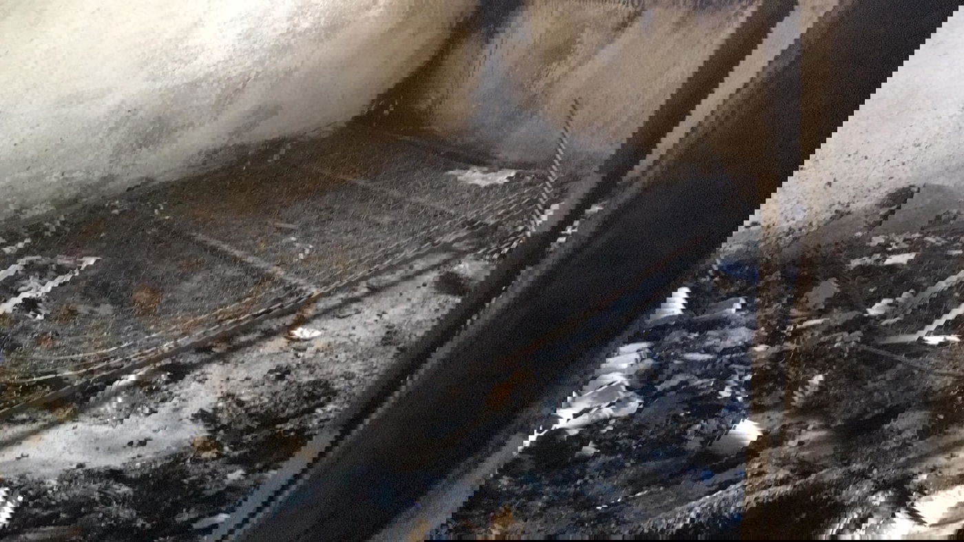 ביתו של קרליבך נשרף; הספרים ניצלו • צפו