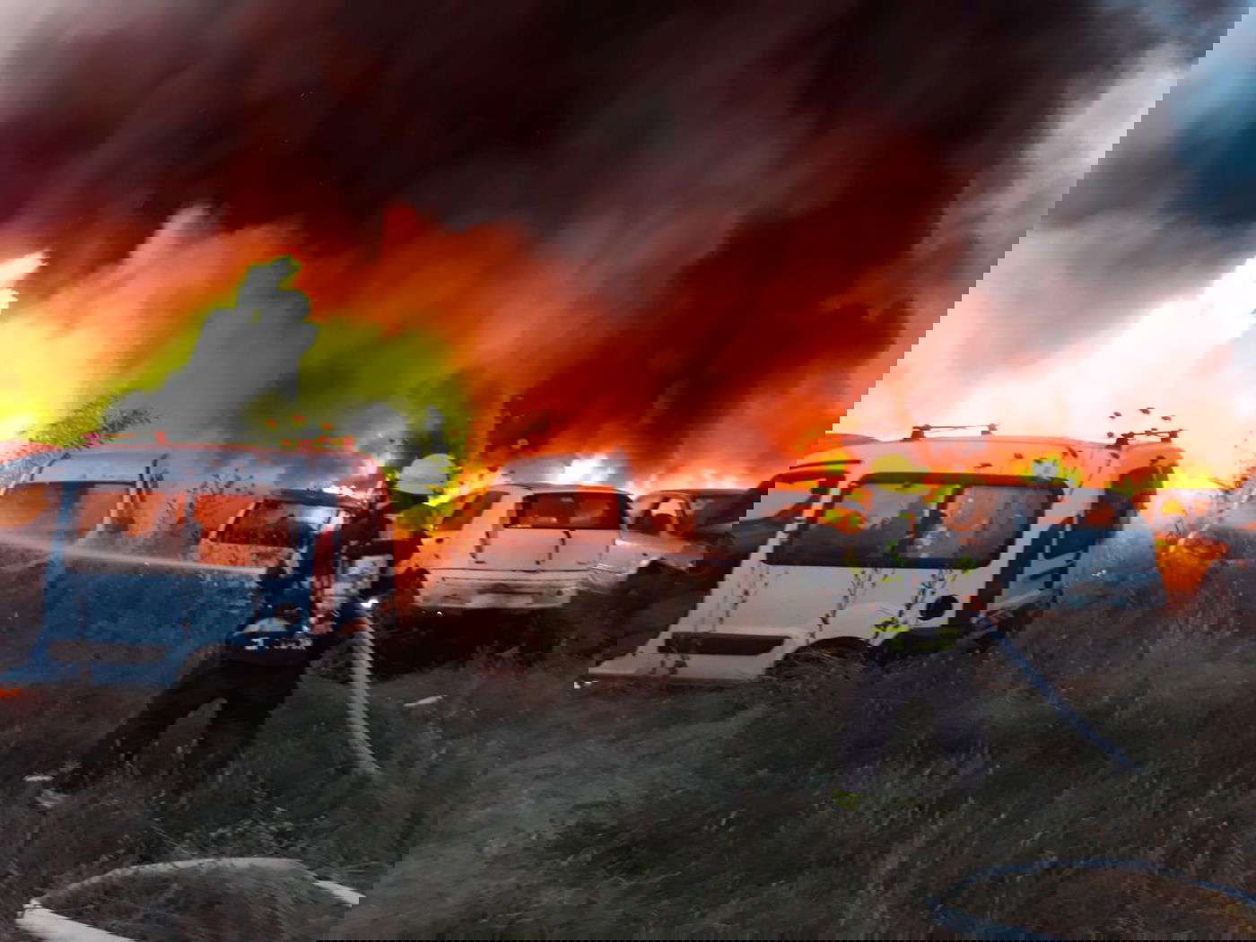 אילוסטרציה