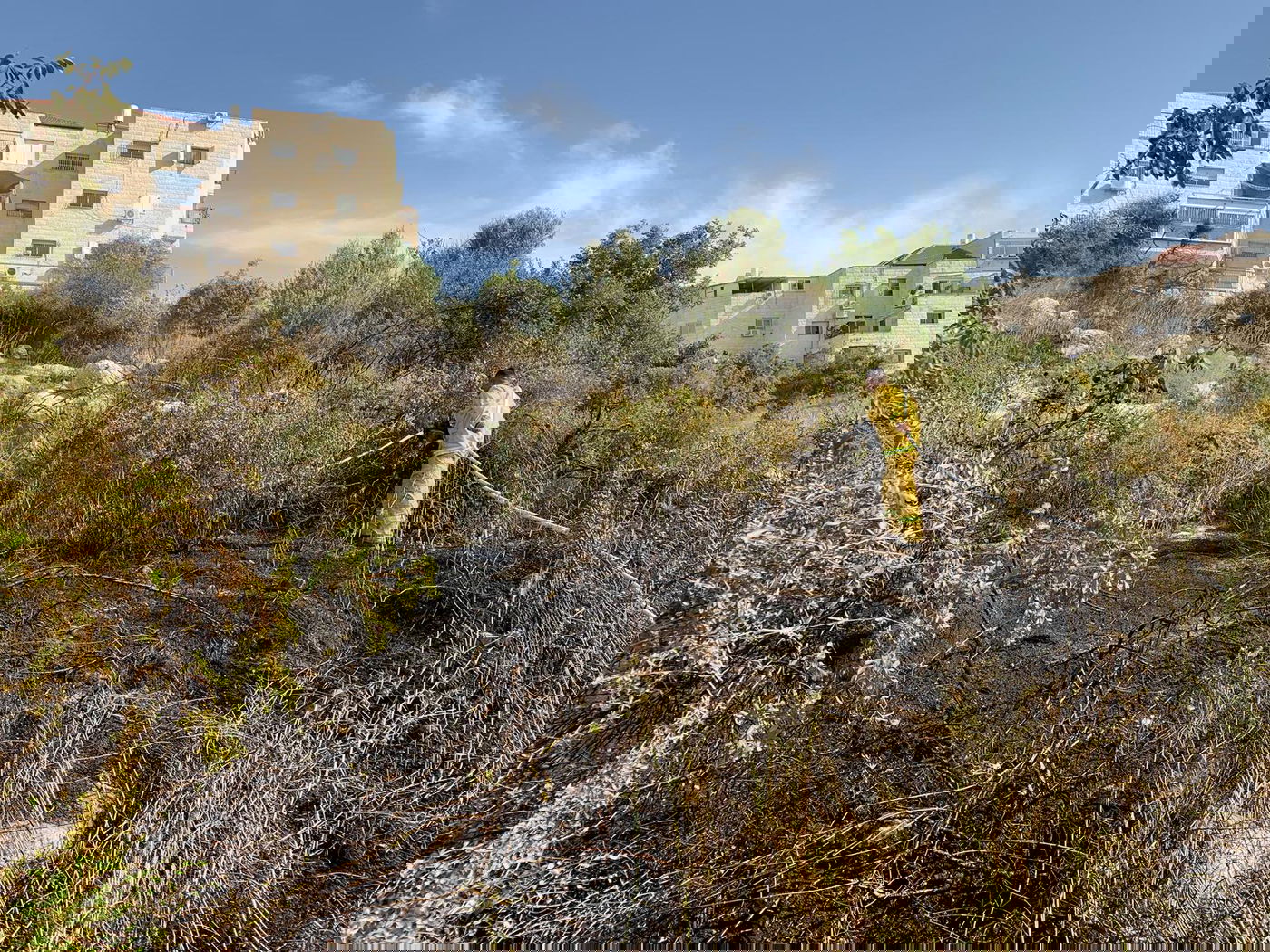 הכבאים הצליחו להשתלט על שריפה גדולה בבית שמש