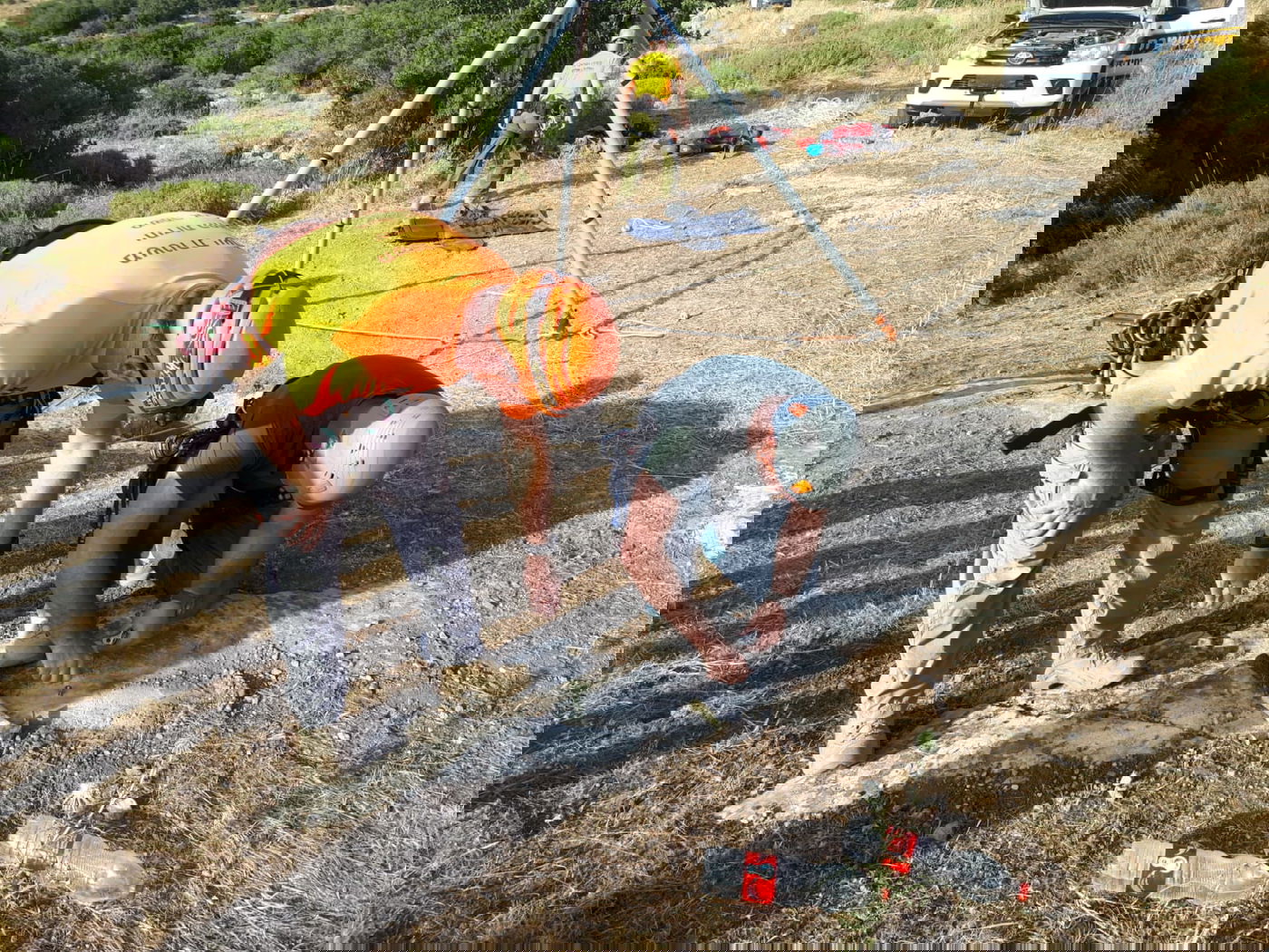 עגל במשקל 200 ק"ג חולץ מבור בעומק 6 מטרים