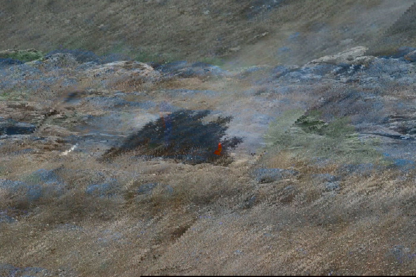 החשוד בהצתת שטח פתוח נעצר "על חם"