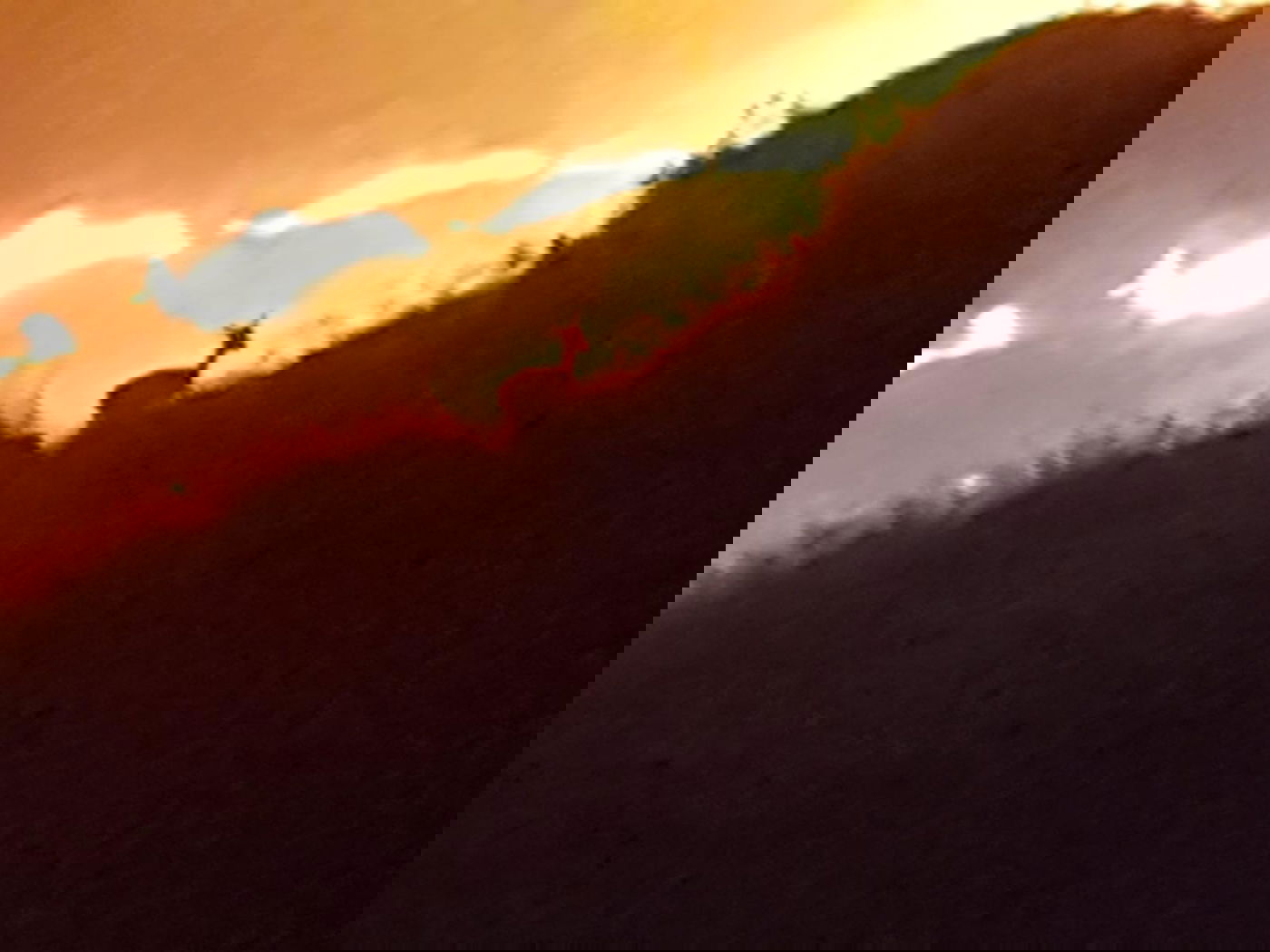 מעורר רחמים: צביה מנסה להימלט מהלהבות