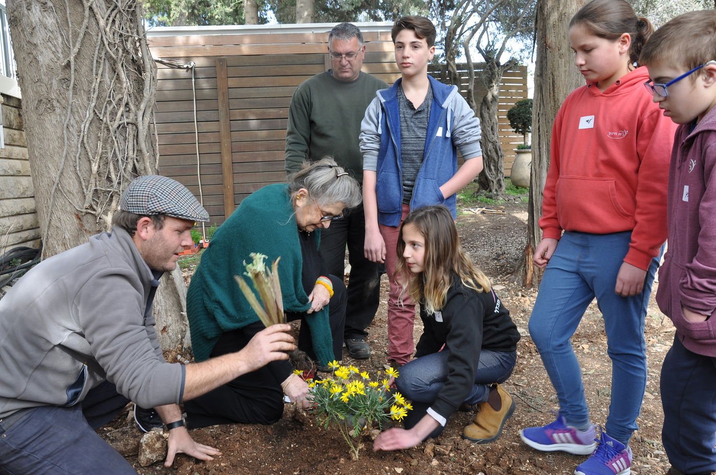 סמל לצניעות • גלריית פרידה מנחמה ריבלין