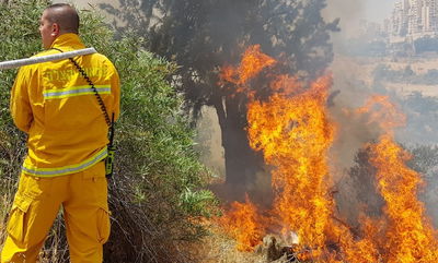 השריפה בליפתא, היום