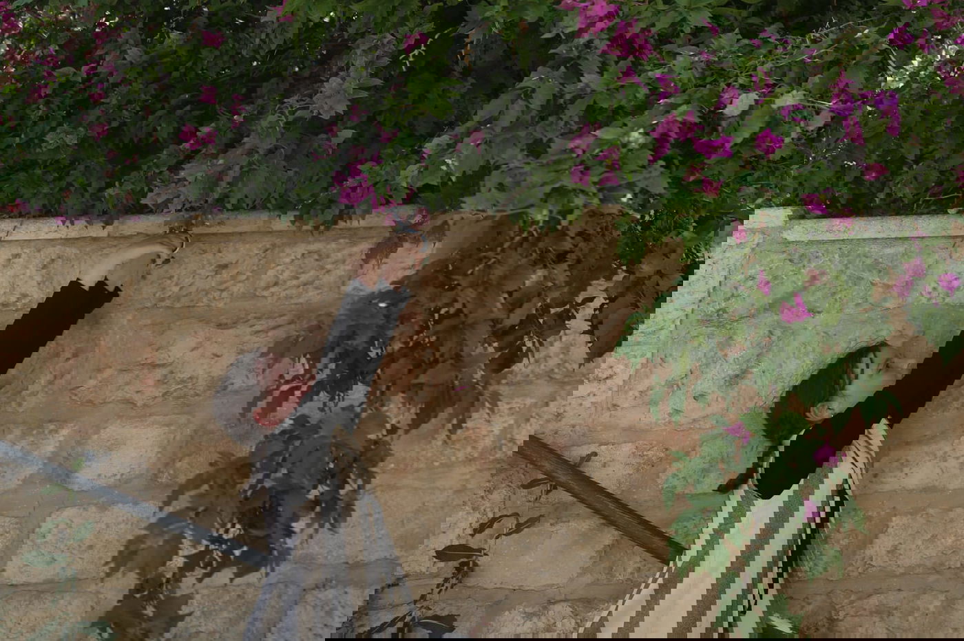 הילדים קוטפים את הפרחים לכבוד שבועות