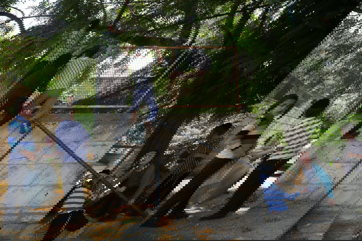 הילדים קוטפים את הפרחים לכבוד שבועות