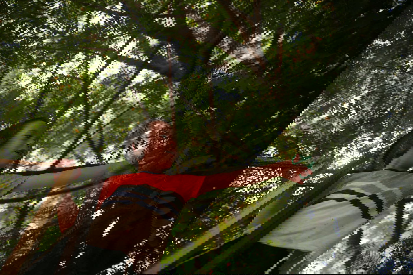 הילדים קוטפים את הפרחים לכבוד שבועות