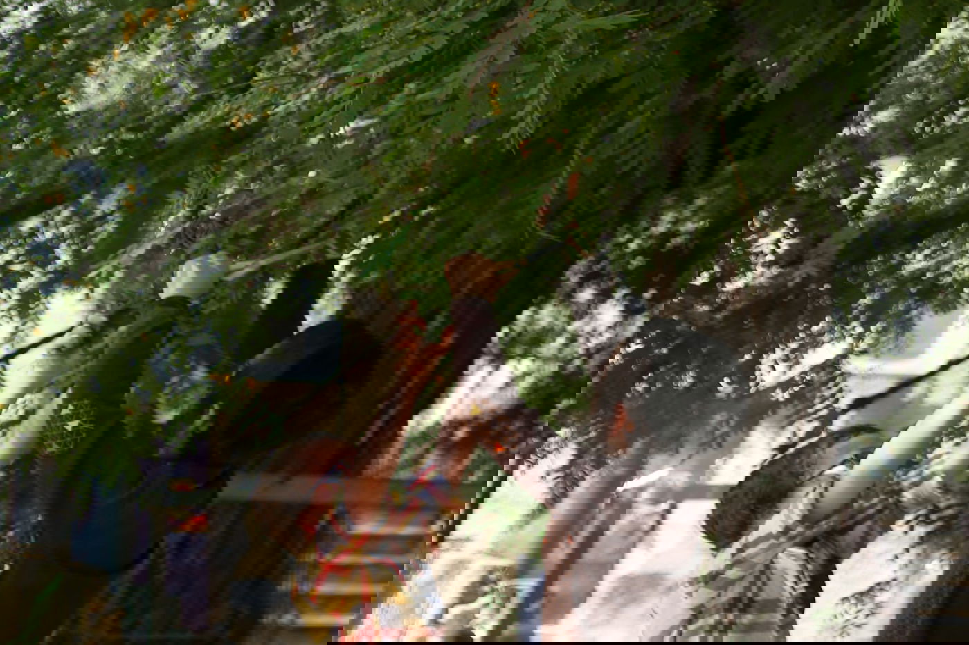 הילדים קוטפים את הפרחים לכבוד שבועות