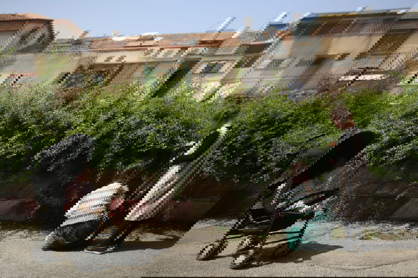 הילדים קוטפים את הפרחים לכבוד שבועות