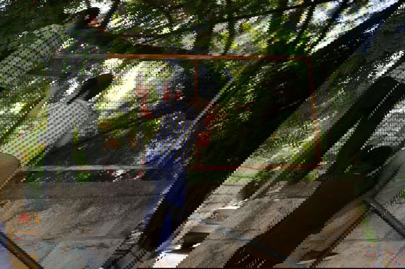 הילדים קוטפים את הפרחים לכבוד שבועות