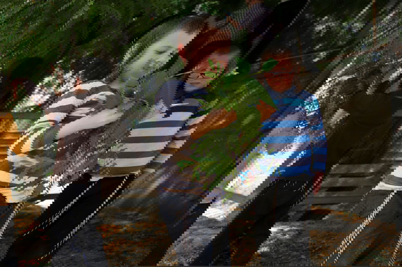 הילדים קוטפים את הפרחים לכבוד שבועות