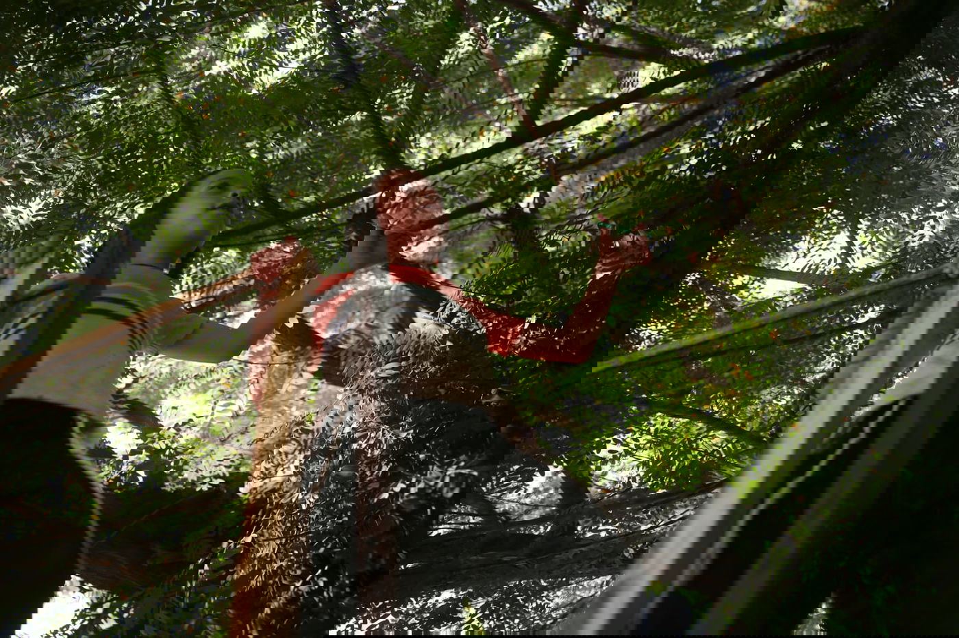 הילדים קוטפים את הפרחים לכבוד שבועות