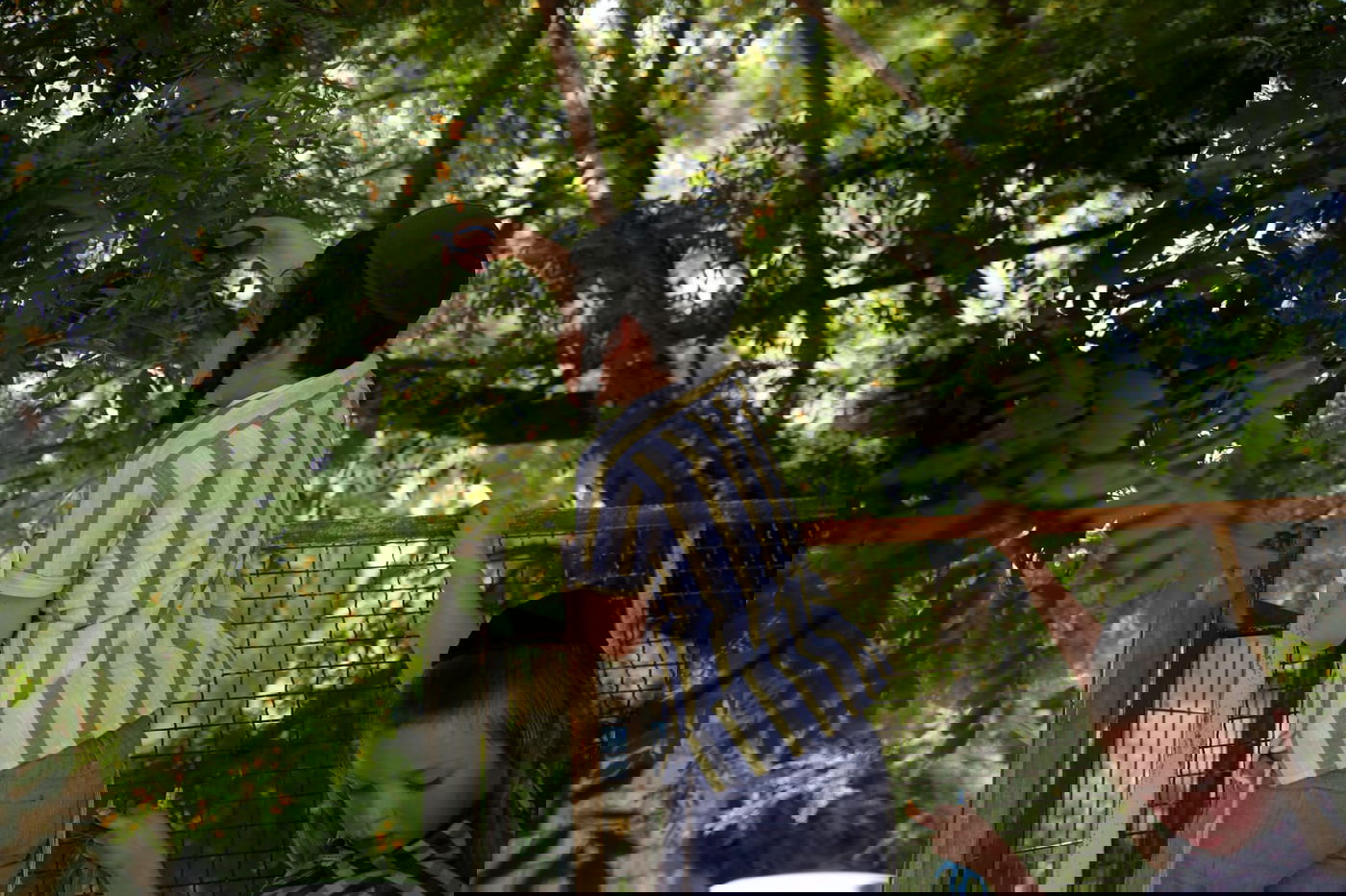 הילדים קוטפים את הפרחים לכבוד שבועות