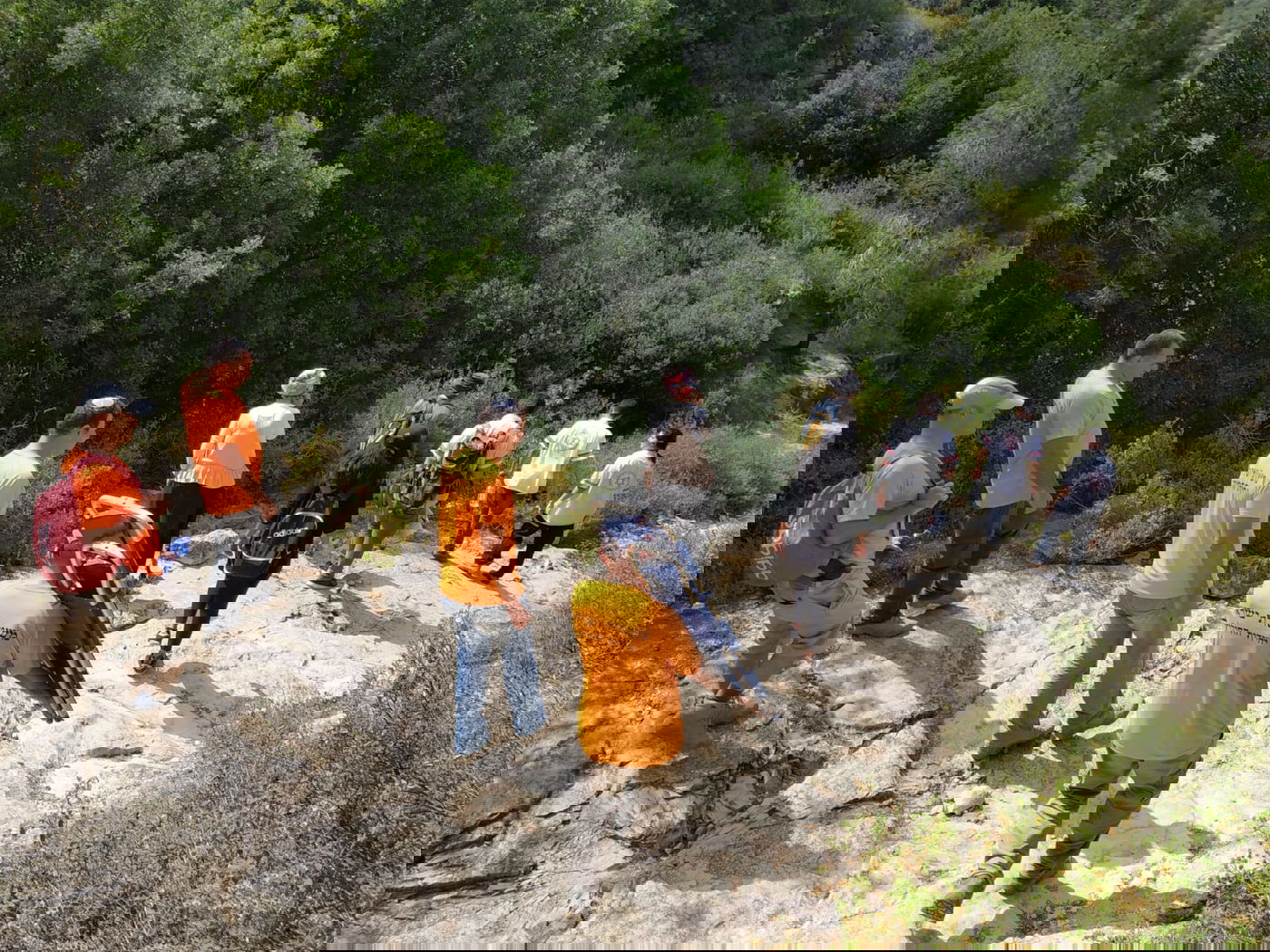 מורה התייבשה בנחל שבהרי ירושלים - וחולצה