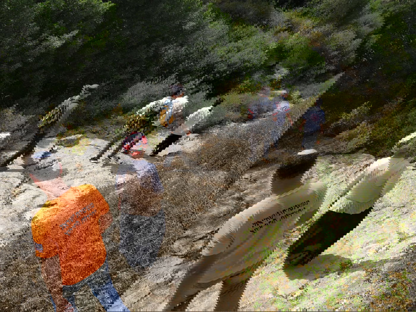 מורה התייבשה בנחל שבהרי ירושלים - וחולצה