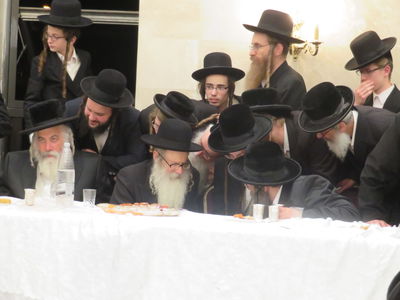 נכד הרבי ממודז'יץ ונכדת הרבי מאמשינוב - התארסו