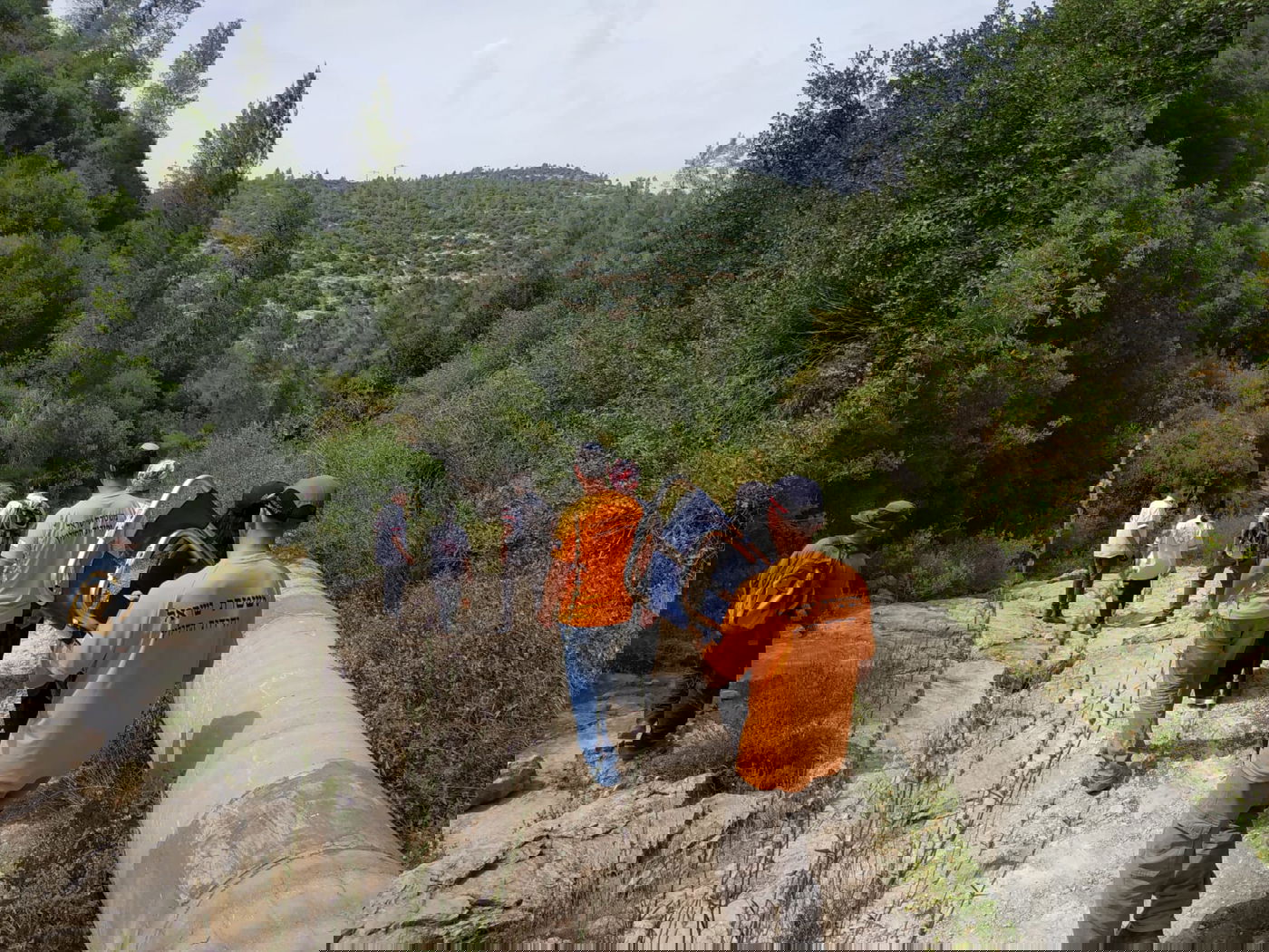 מורה התייבשה בנחל שבהרי ירושלים - וחולצה