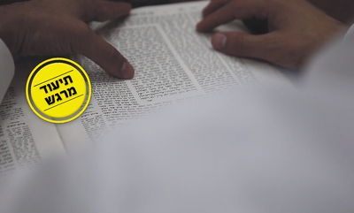 "ניגון הגמרא": צפו והתענגו על לימוד התורה