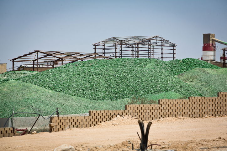 המפעל פניציה