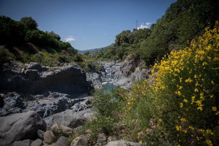טיול לסיציליה דרך עדשת המצלמה