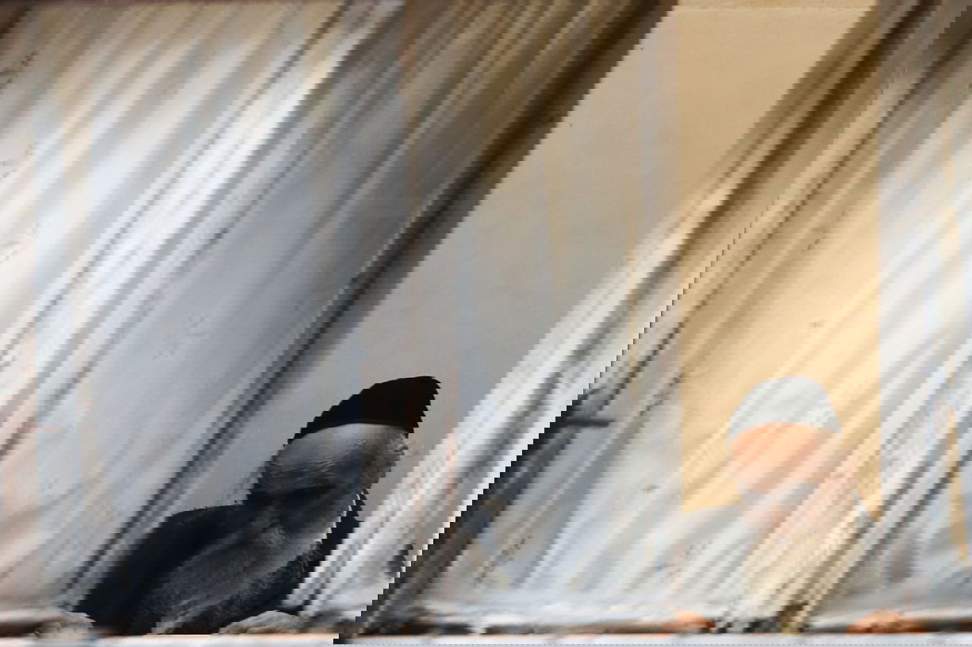 עמל התורה של הגרמ"ד סולובייצ'יק בביתו. צפו