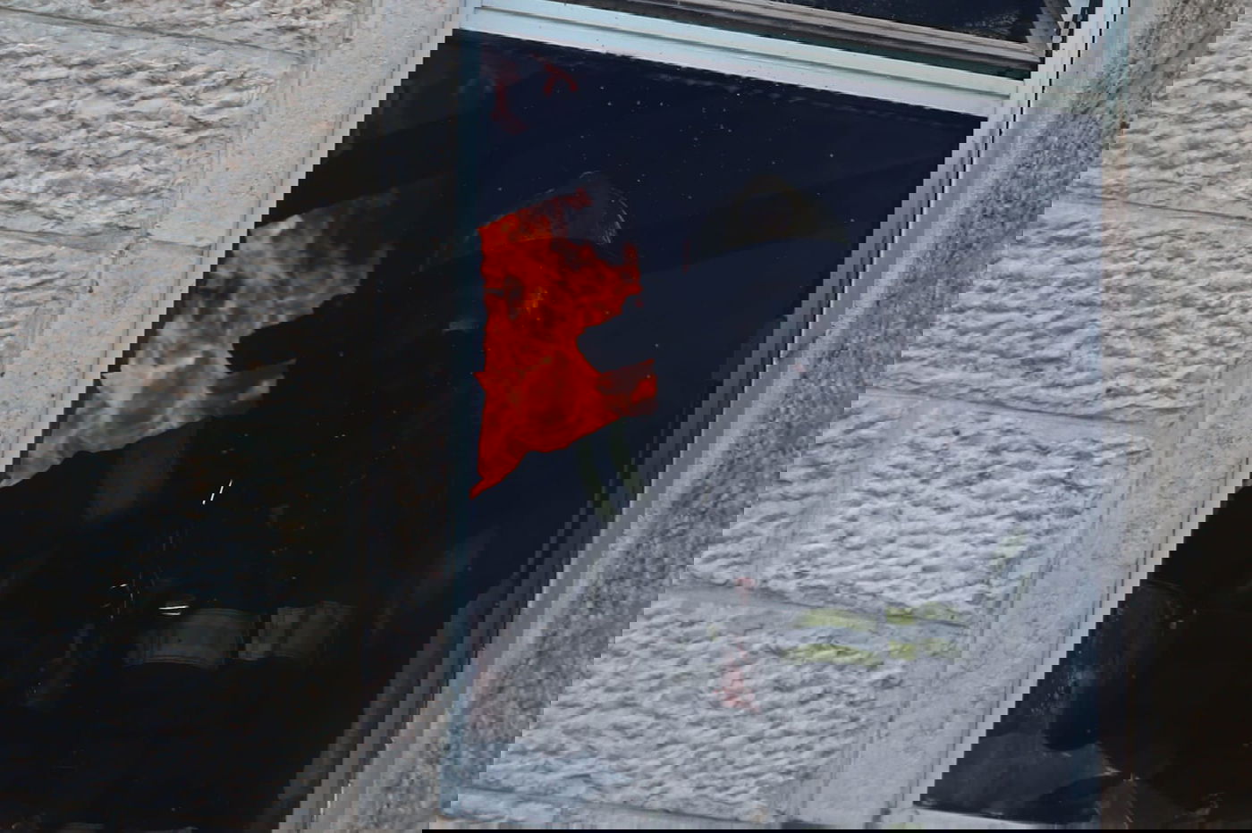 דיירת הבניין ל'כיכר השבת': "ילד הדליק אש וזה התפשט" • צפו