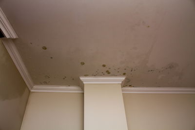 יקויי הבניה השונים נבדקו על ידי מהנדס-מומחה