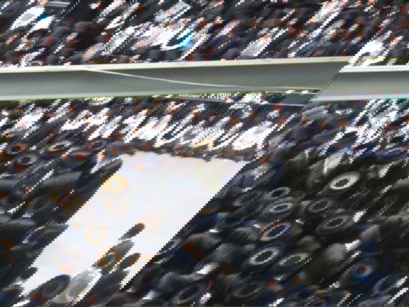 אלפים בחתונת נכד הרבי מויז'ניץ • תיעוד