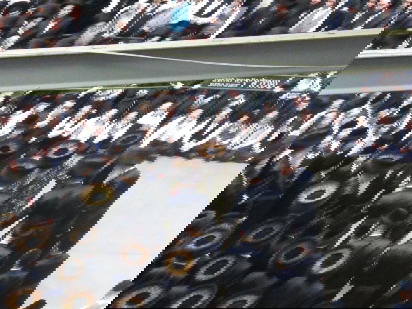 אלפים בחתונת נכד הרבי מויז'ניץ • תיעוד