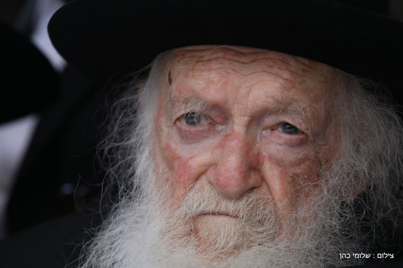 הגר"ח קנייבסקי ביקר בת"ת 'סוכת דוד' ובסמינר 'דרכי רחל'