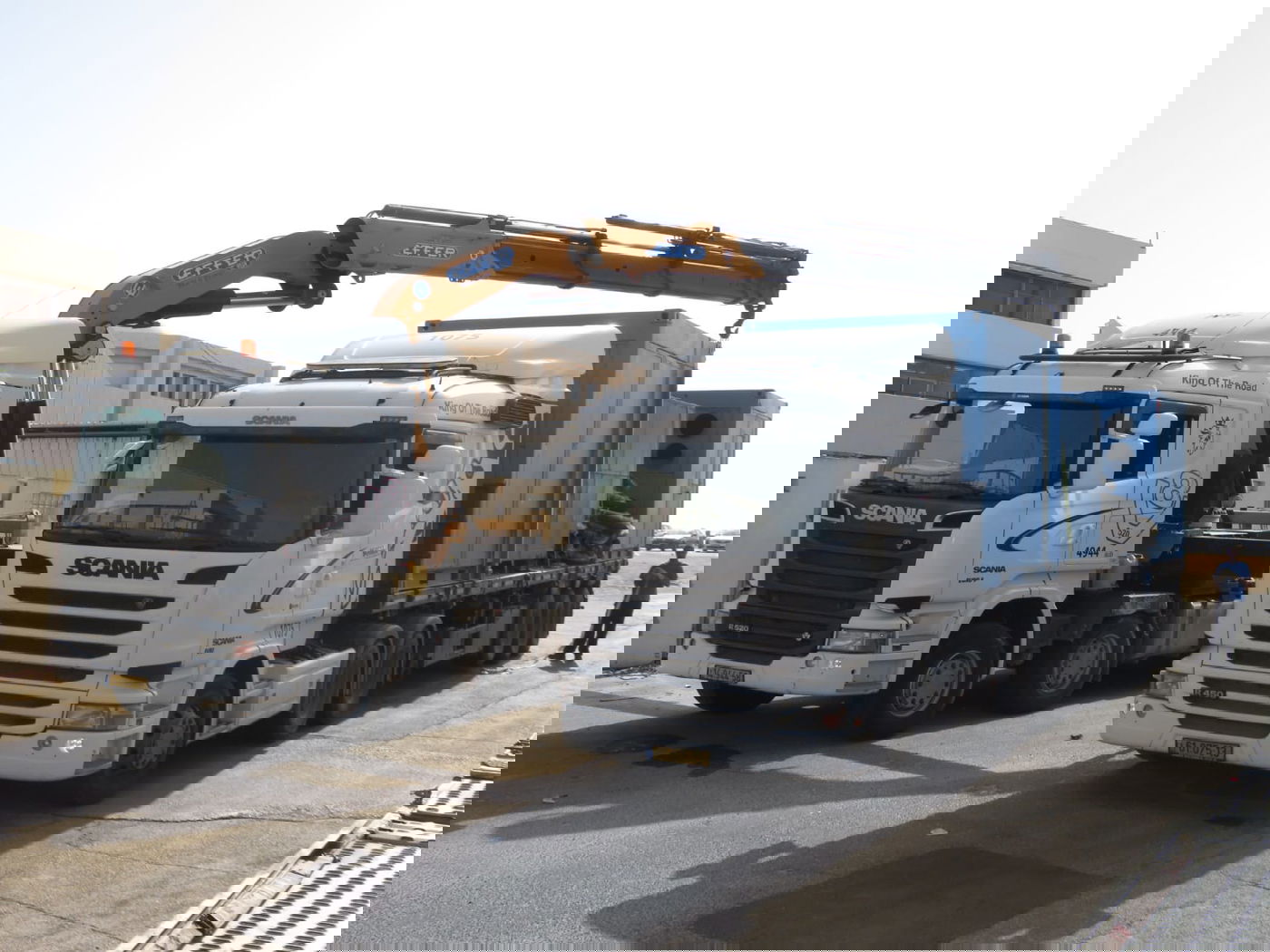 תיעוד: כך נערכים ב'צאנז' לחתונה הגדולה