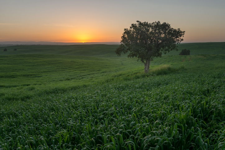 התחזית: מעונן חלקית, ואף ייתכן טפטוף קל