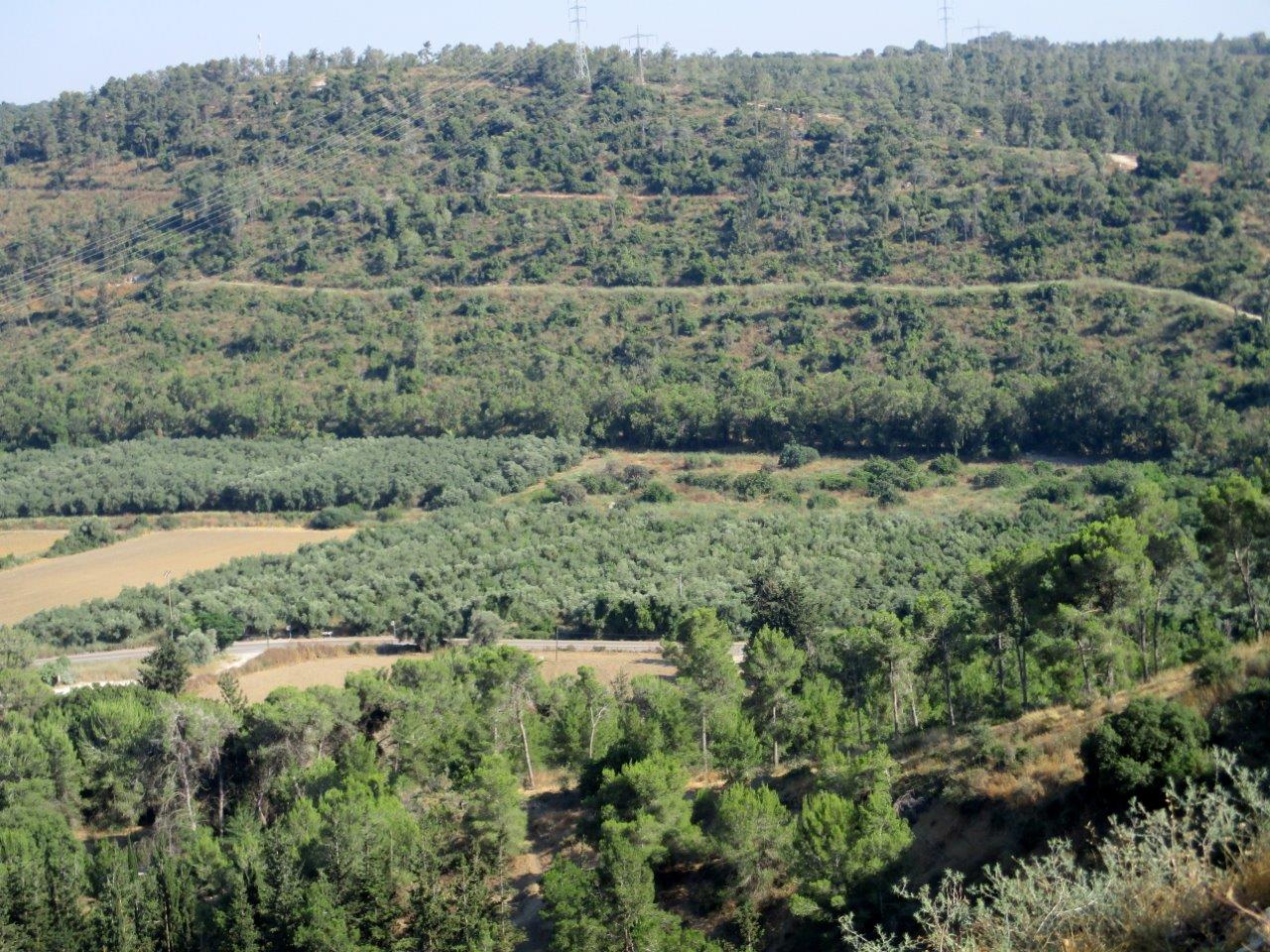 סיור ליערות הכרמל דרך עדשת המצלמה
