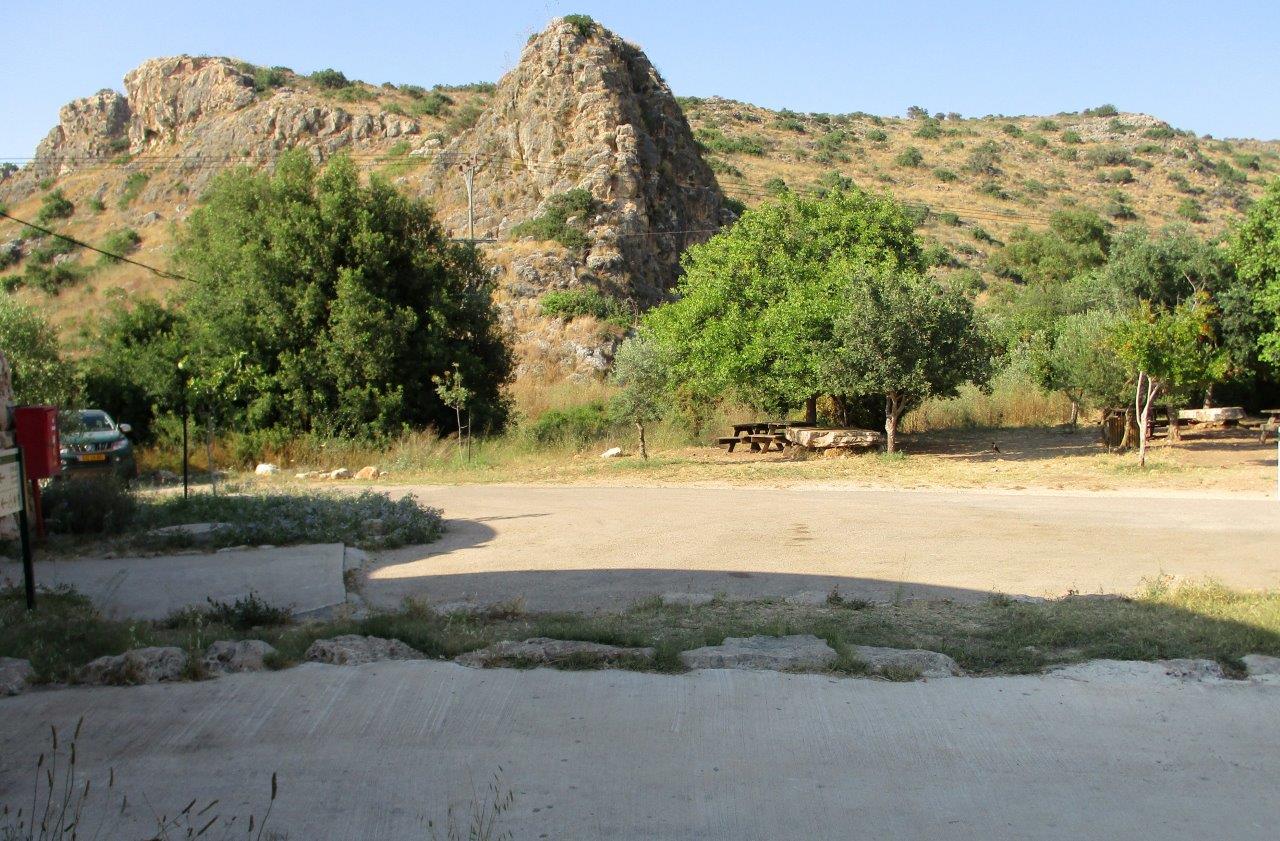 סיור ליערות הכרמל דרך עדשת המצלמה